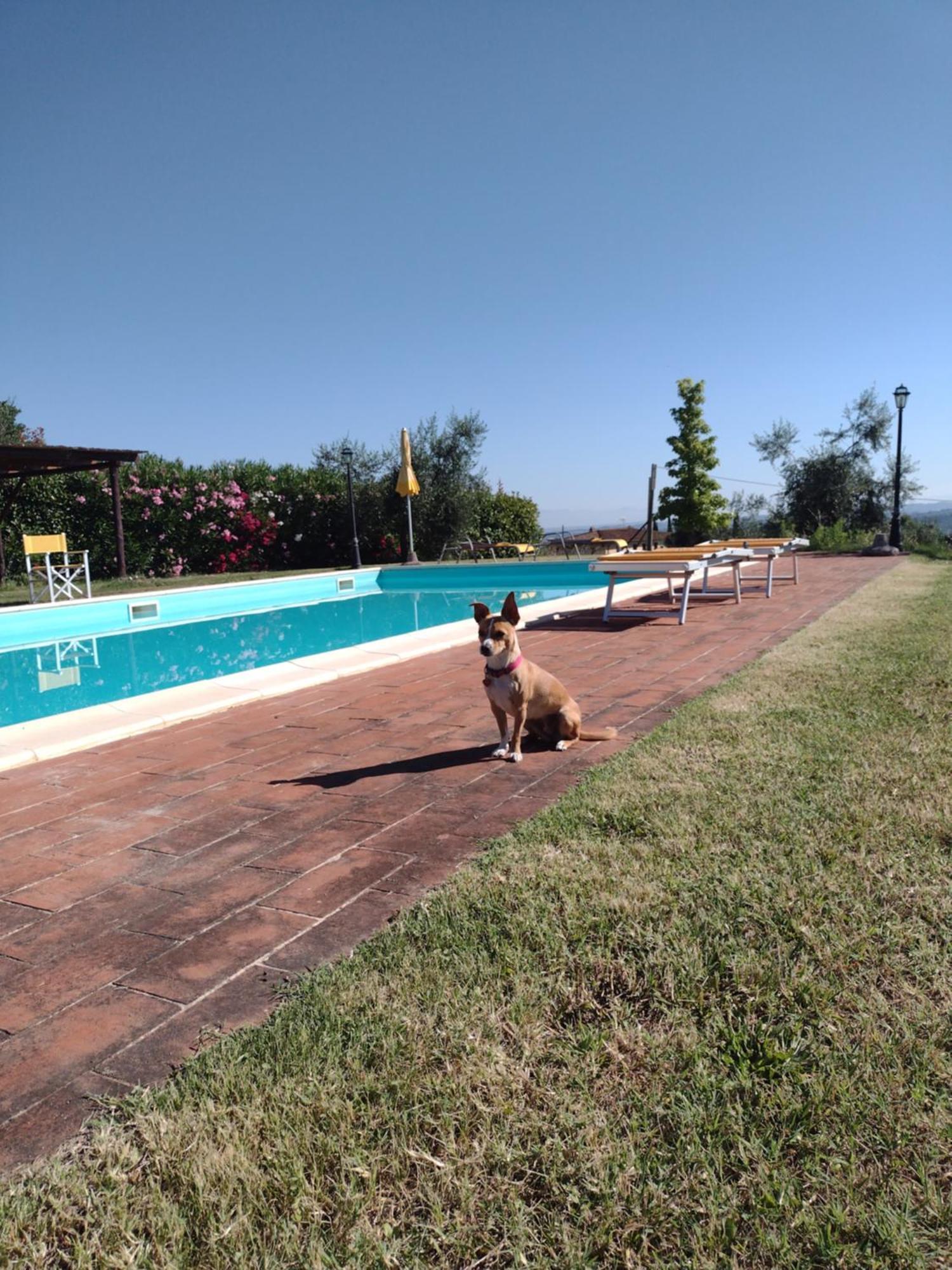 Le Pergoline B&B Casciana Terme Eksteriør bilde