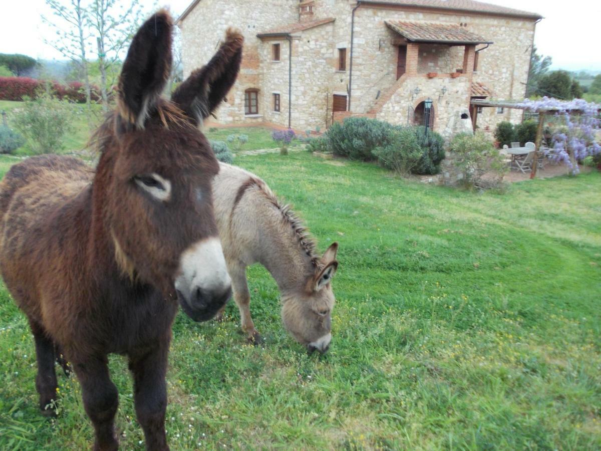 Le Pergoline B&B Casciana Terme Eksteriør bilde